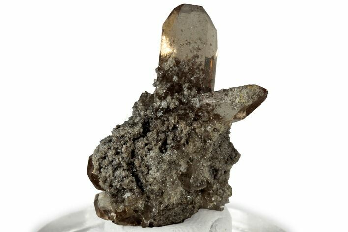 Lustrous Champagne Topaz Crystal Cluster - Utah #309292